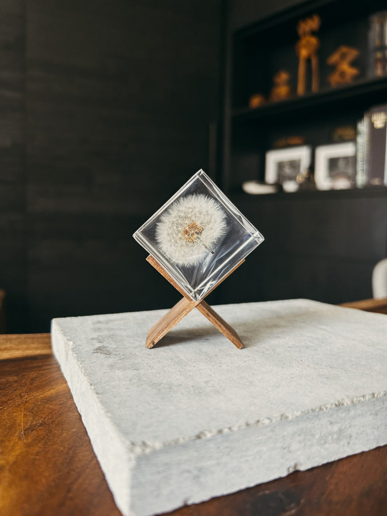 Dandelion Sola Cube.