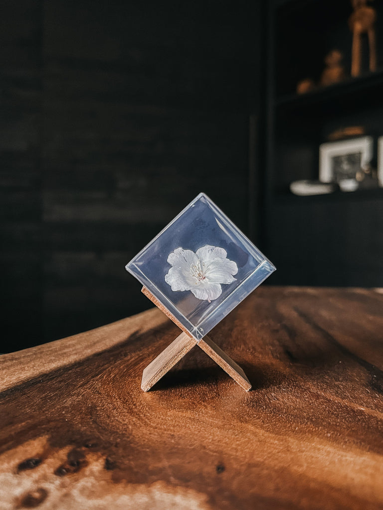 Cherry Blossom Sola Cube
